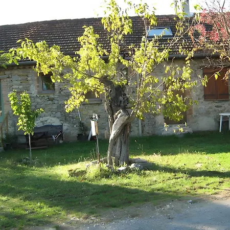 Perdu Parme Saint-Christol-lès-Alès