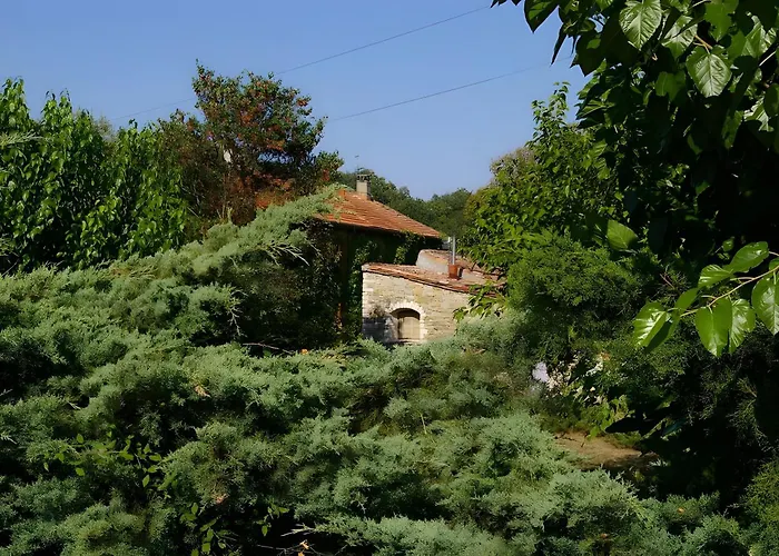 Perdu Parme * Saint-Christol-lès-Alès